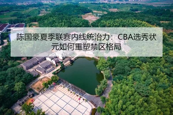 陈国豪夏季联赛内线统治力：CBA选秀状元如何重塑禁区格局