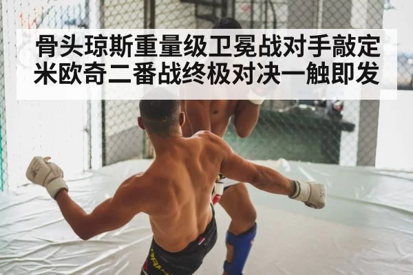 MMA fight