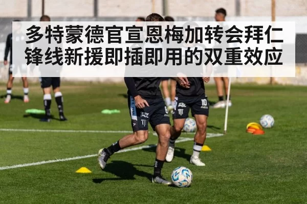 多特蒙德官宣恩梅加转会拜仁锋线新援即插即用的双重效应