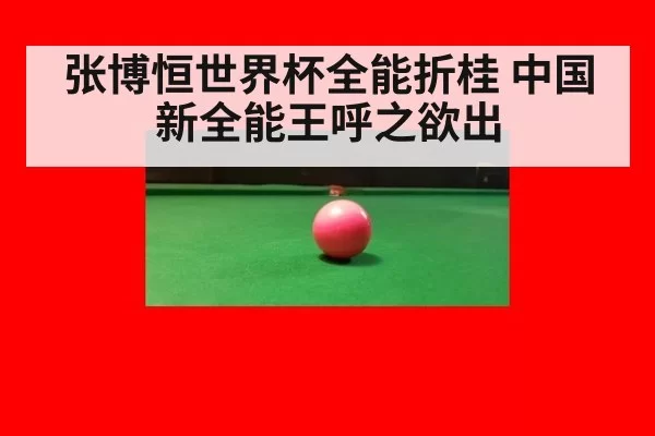 张博恒世界杯全能折桂 中国新全能王呼之欲出